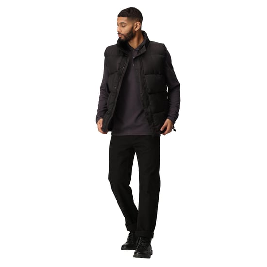 Regatta Mens Northdale Insulated Gilet (Black)