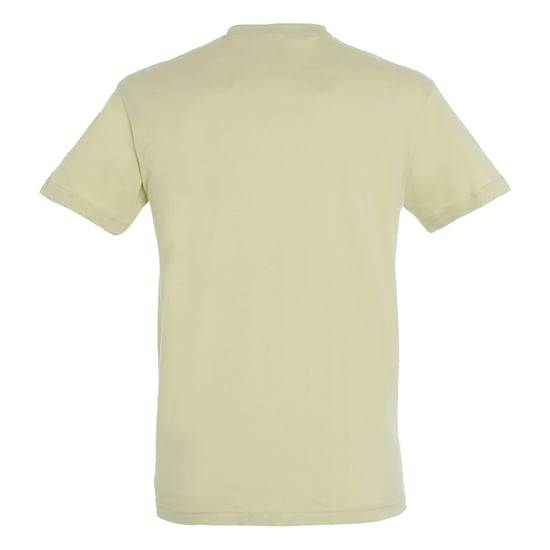 SOLS Unisex Regent T-shirt voor volwassenen (Salie Groen) - Image 2