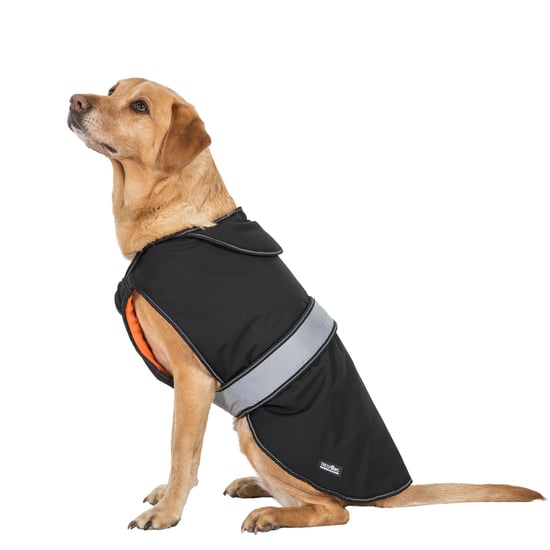 Trespass Butch Touch Fastening Softshell Dog Jacket (Black)