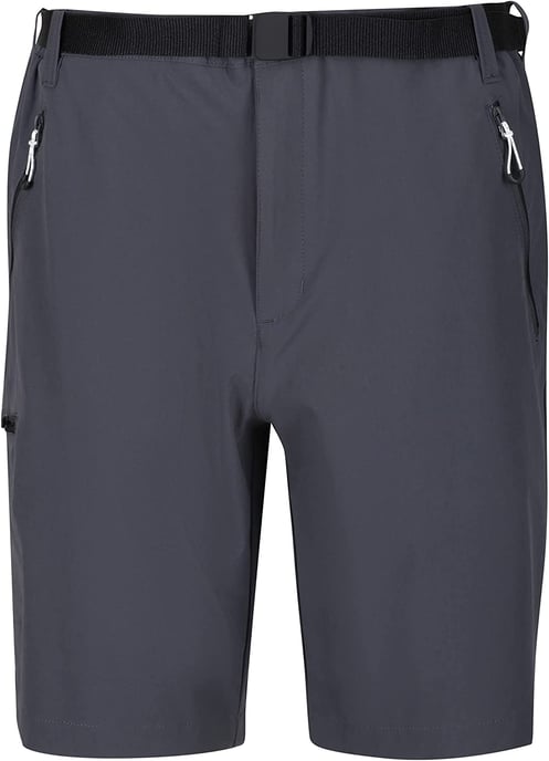 Regatta Heren Xert III Stretch Shorts (Afdichting Grijs) - Image 1