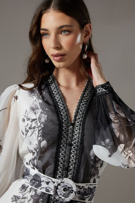 Boarder Printed Organza Shirt Dress