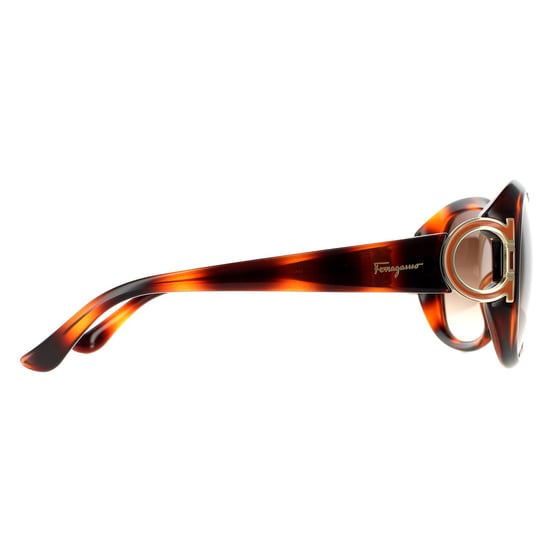 Salvatore Ferragamo Oval Womens Tortoise Brown Gradient Sunglasses