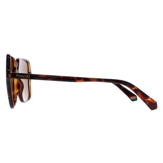 Polaroid Square Womens Havana Bronze Polarized PLD 6219/S