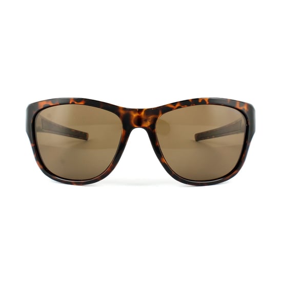 Polaroid Sunglasses PLD 3014S V08 IG Havana Brown Polarized