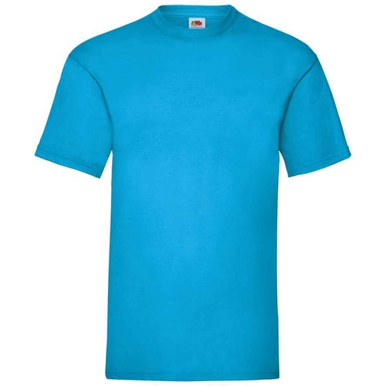 Fruit of the Loom Heren Valueweight T-Shirt (Azuurblauw) - Image 1