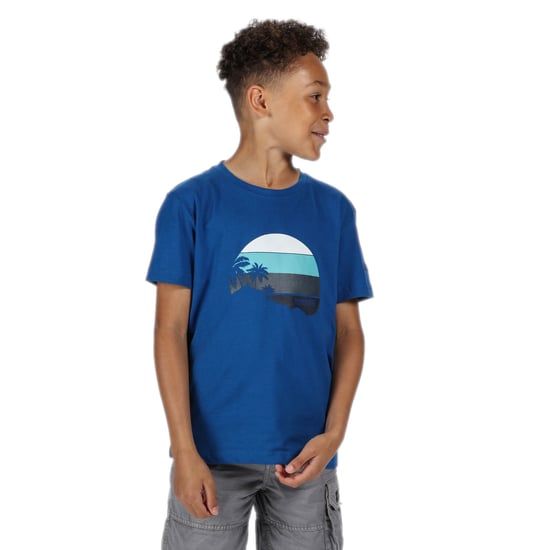 Regatta Kinderen/Kinderen Bosley III Bedrukt T-shirt (Nautisch Blauw) - Image 4