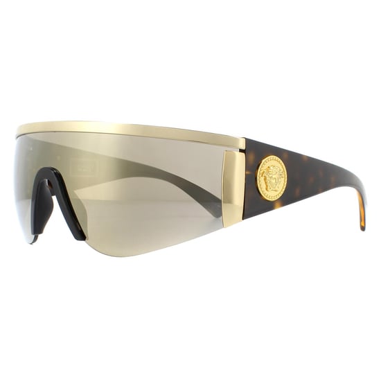 Versace Sunglasses VE2197 10005A Gold Brown