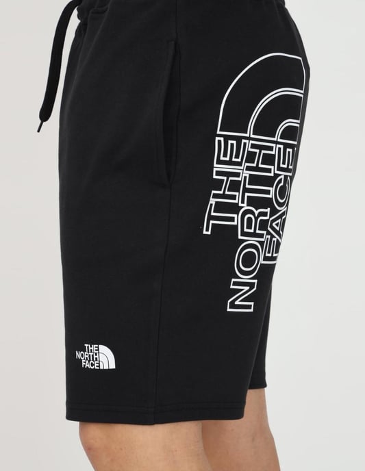 The North Face Heren Graphic Short Zwart - Image 4