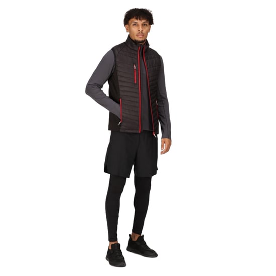 Regatta Mens Navigate Quilted Hybrid Gilet (Black/Classic Red)