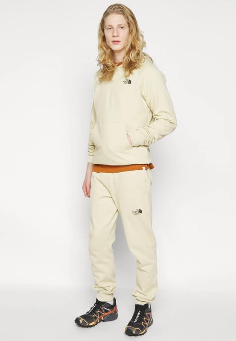 The North Face Heren Reglan Red Box Hoodie in Bleached Gravel - Image 4
