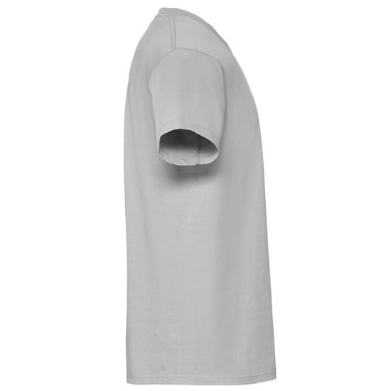 Fruit of the Loom Heren Iconic Premium Ringspun Katoen T-Shirt (Zink) - Image 3