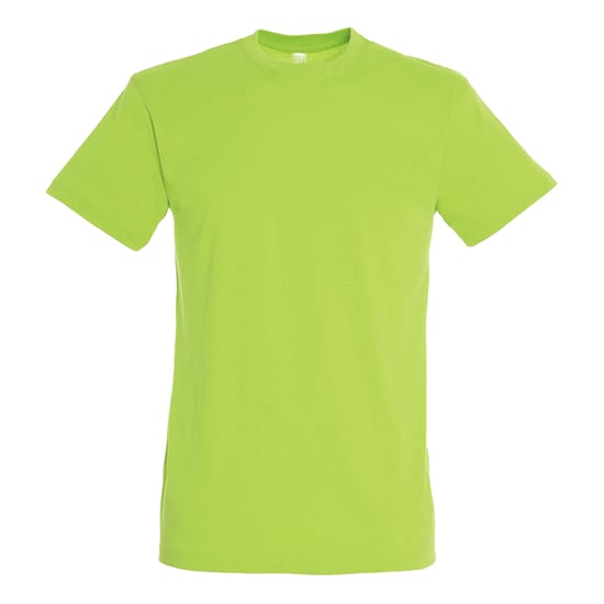 SOLS Unisex Regent T-shirt voor volwassenen (Nieuwe kalk) - Image 1