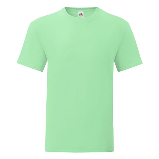 Fruit of the Loom Heren Iconisch 150 T-Shirt (Muntgroen) - Image 1