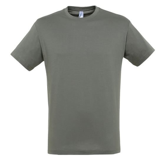 SOLS Mens Regent Short Sleeve T-Shirt (Zinc)