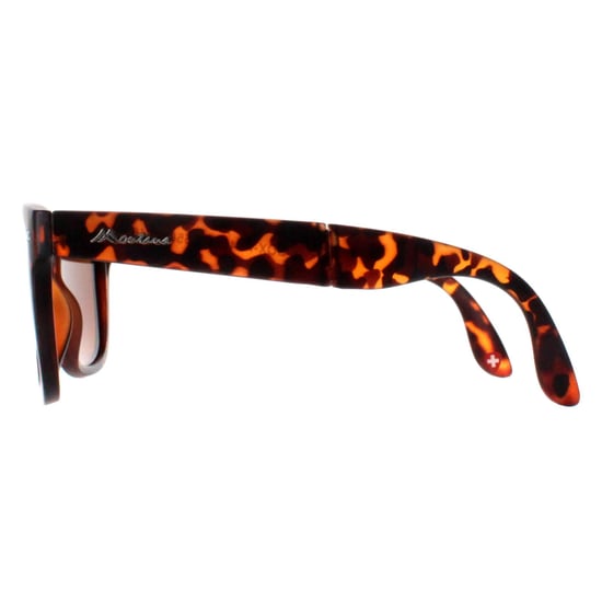 Montana Square Unisex Turtle Brown Polarized FS40