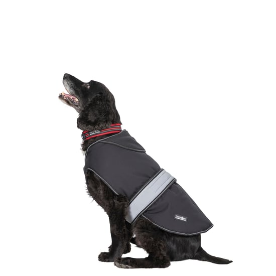 Trespass Butch Touch Fastening Softshell Dog Jacket (Black)