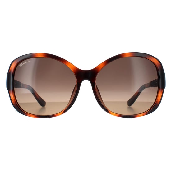 Salvatore Ferragamo SF744SLA 214 tortoise bruin gradiënt zonnebril - Image 1