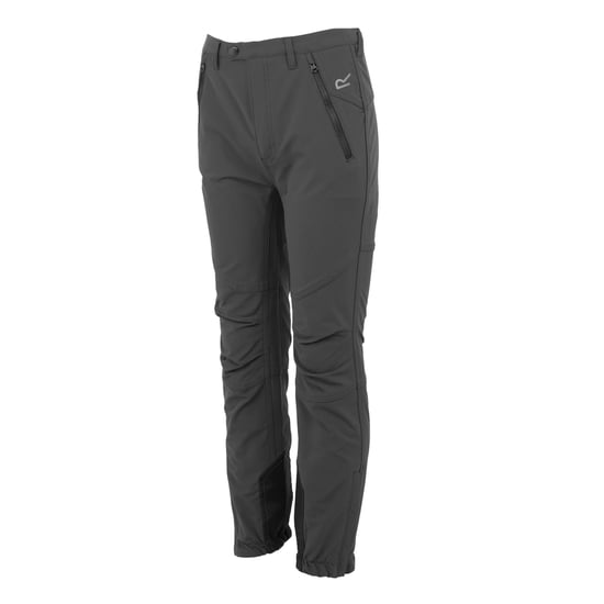 Regatta Childrens/Kids Tech Mountain Hiking Trousers (Seal Grey)