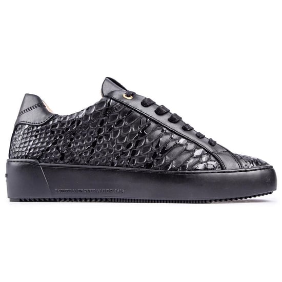 Android Homme Zuma Trainers