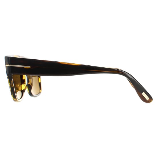 Tom Ford zonnebril Dunning FT0907 48J Tortoise Brown - Image 3
