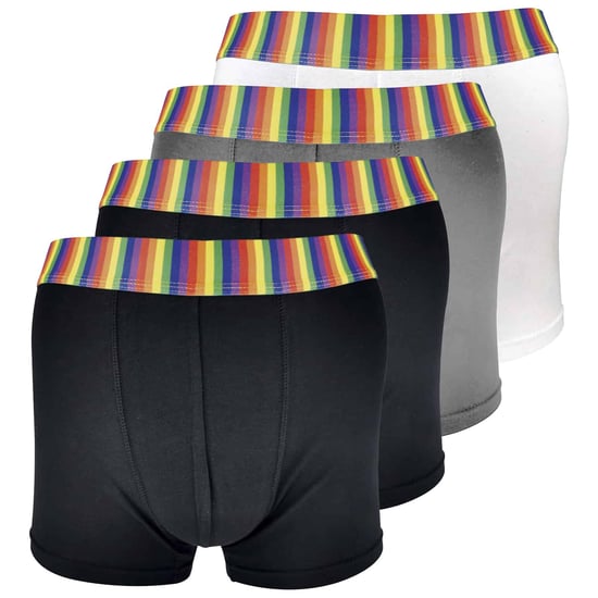Set van 4 katoenen nieuwigheidsboxershorts voor heren - Regenboog - Image 1
