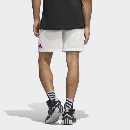 Basketball Badge of Sport Shorts