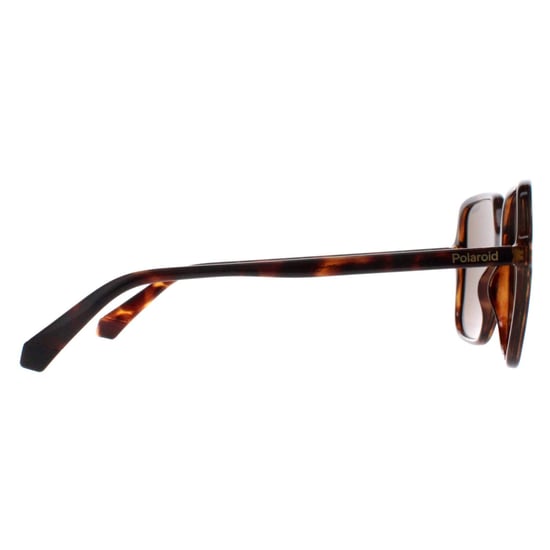 Polaroid Square Womens Havana Bronze Polarized PLD 6219/S