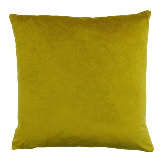 Paoletti Palmgrove Fluwelen Jacquard Kussen met Verenvulling - Image 2