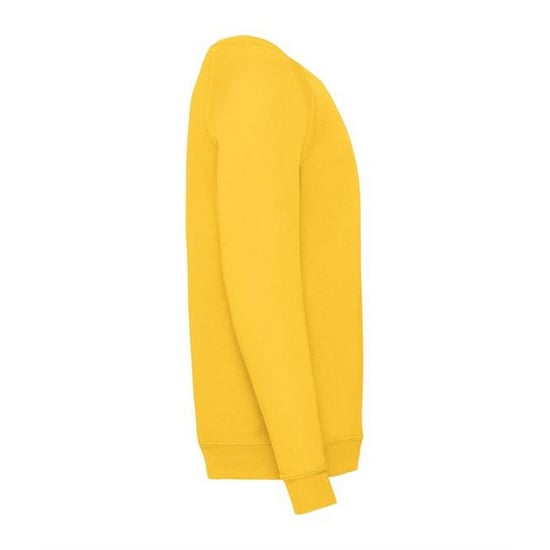 Fruit Of The Loom Kinderen Unisex Raglan mouwen Sweatshirt (Zonnebloem) - Image 3