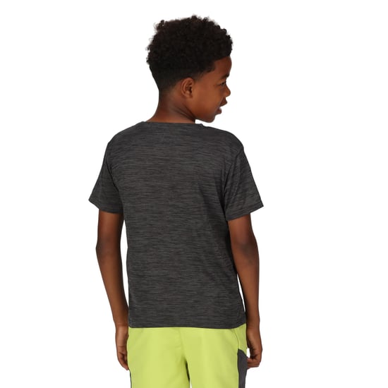 Regatta Kinderen/Kinderen Fingal Editie Marl T-Shirt (Afdichting Grijs) - Image 4