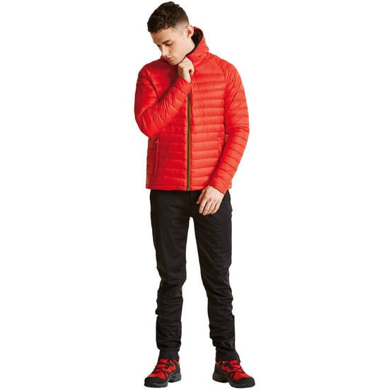 Dare 2b Mens Phasedown Water Repellant Hooded Nylon Down Jacket Top