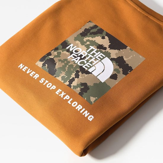 The North Face Raglan Back Box Heren Crewneck Sweatshirt Tan - Image 6
