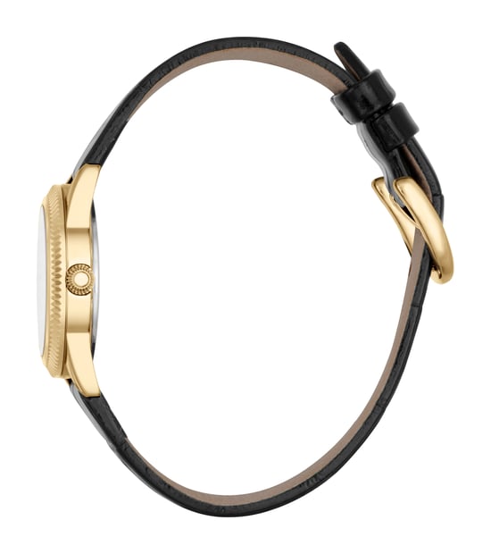 RC5L035L0025 Roberto Cavalli 4894626189609 Womens Quartz Stainless Steel White MOP Leather 5 ATM 28 mm Watch - Image 3