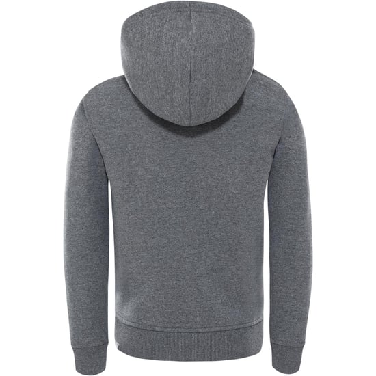 The North Face Unisex Kids Drew Peak Borduur Hoodie Grijs - Image 2