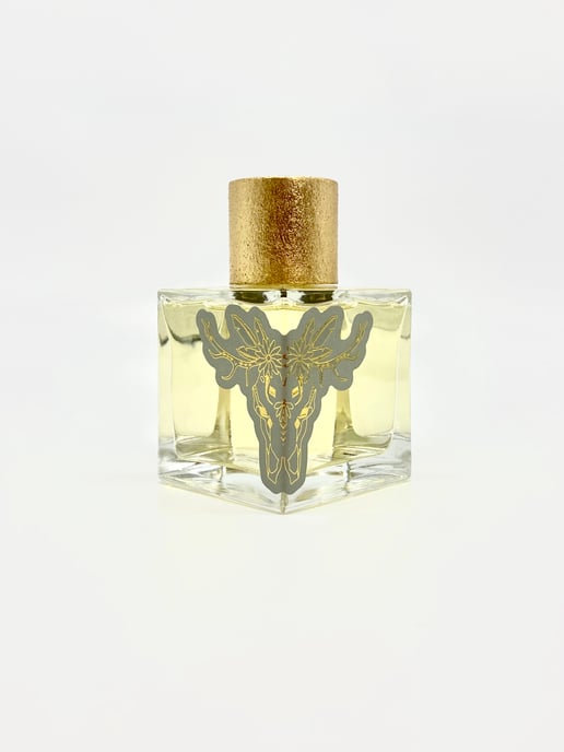 North to Poltava 100ml EDP