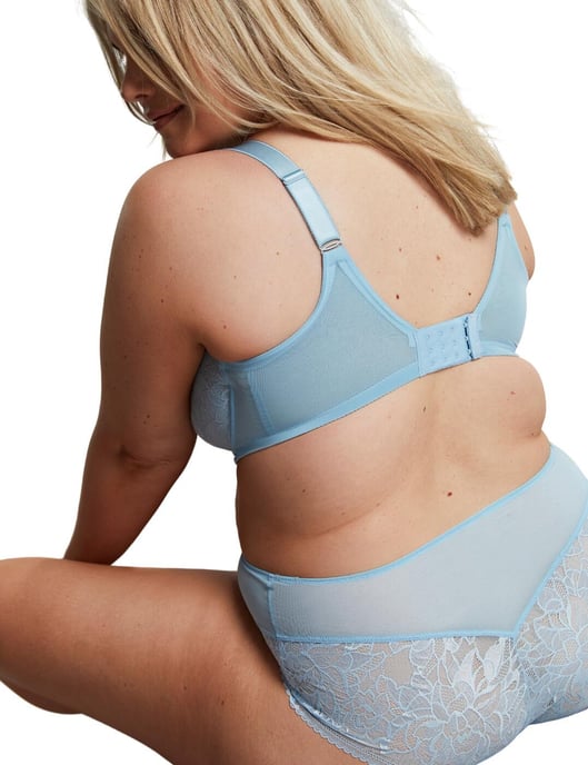 Sculptresse by Panache Dream Deep Brief