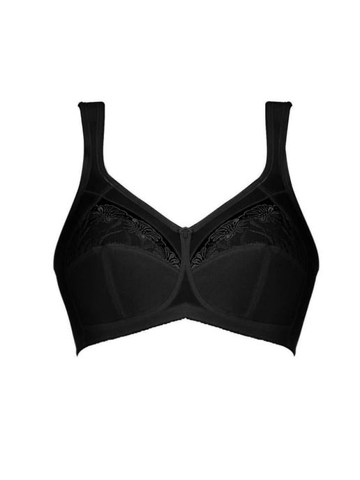 Anita Bustier - Image 3