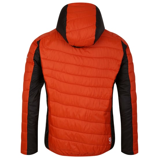 Dare 2B Mens Touring Padded Jacket (Rooibos Tea/Puffins Orange)