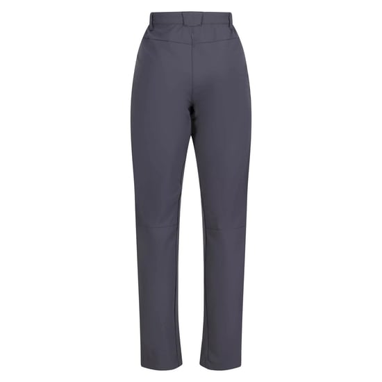 Regatta Womens/Ladies Questra IV Stretch Hiking Trousers (Seal Grey)