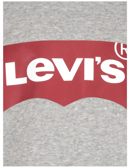 Mens Levi Batwing Sweater in Grey