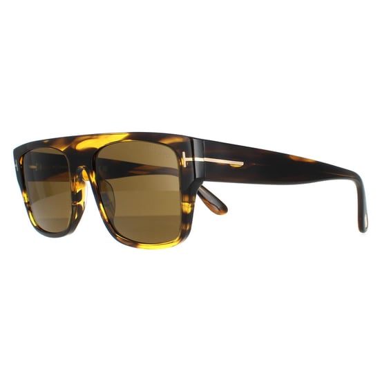 Tom Ford zonnebril Dunning FT0907 48J Tortoise Brown - Image 2