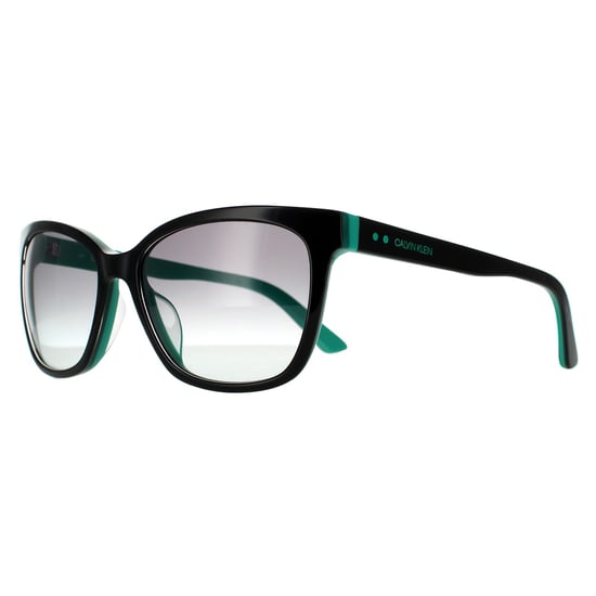 Calvin Klein zonnebril CK19503S 012 Zwart groenblauw grijze gradiënt - Image 2