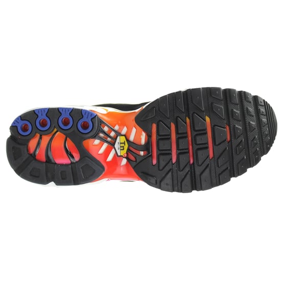 Nike Air Max Plus Womens Black Trainers
