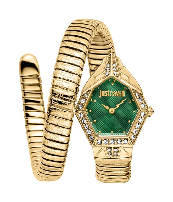 JC1L303M0035 Ornato Snake Analog Watch for Women