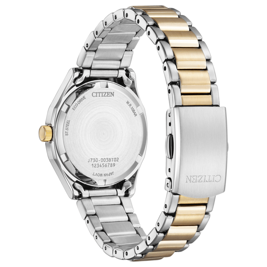 Citizen Women's Multicolour Watch FE2116-85A
