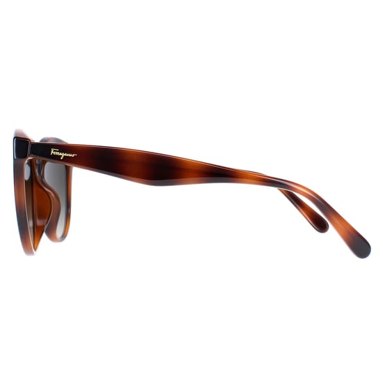 Salvatore Ferragamo Cat Eye Womens Tortoise Grey Gradient SF1073S