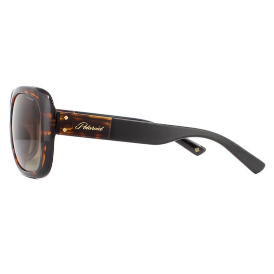Polaroid Butterfly Womens Havana Brown Gradient Polarized Sunglasses