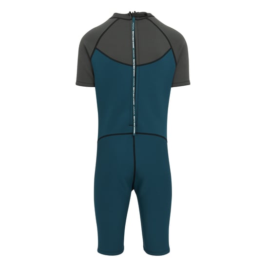 Regatta Mens Shorty Wetsuit (Grey/Moroccan Blue)