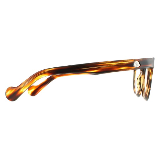 Moncler Round Unisex Shiny Light Brown Glasses