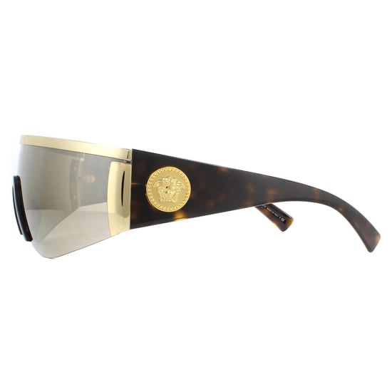 Versace Sunglasses VE2197 10005A Gold Brown
